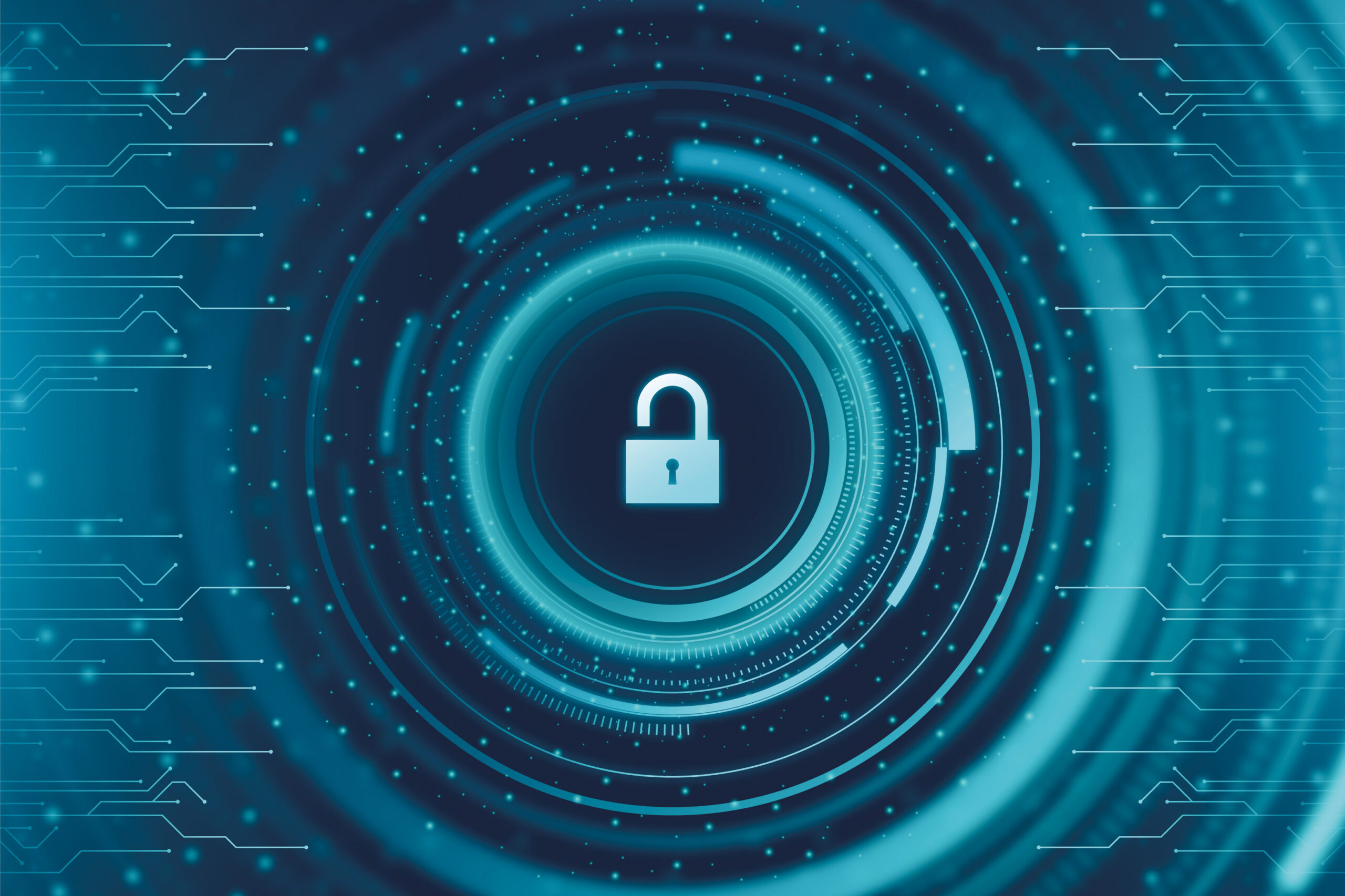 it-guru24-cyber-security-img-02